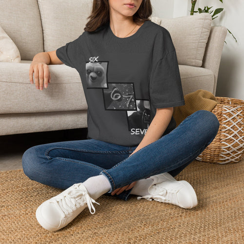 Grey Kung Fu Panda Six Seven T-Shirt 2