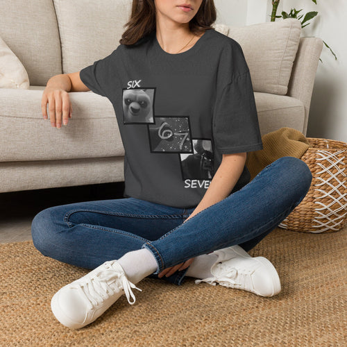 Kungfu Panda Six Seven T-Shirt 2 Grey